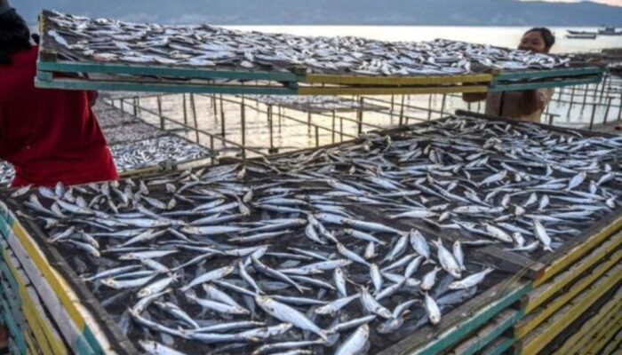 Geser Orientasi, DKP Kaltim Fokus Tingkatkan Nilai Tambah Produk Perikanan Lokal