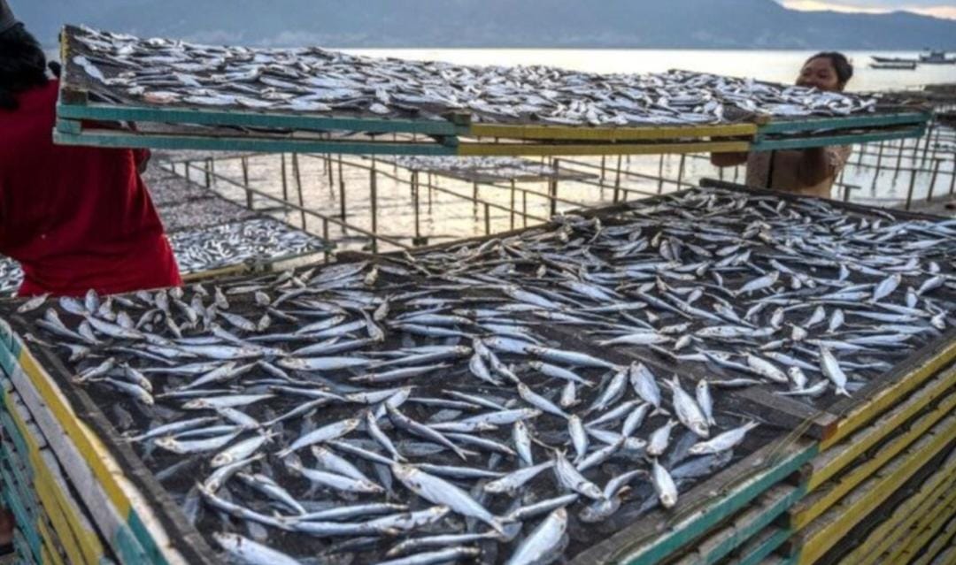 8a3a5e06 img 20260227 wa0039