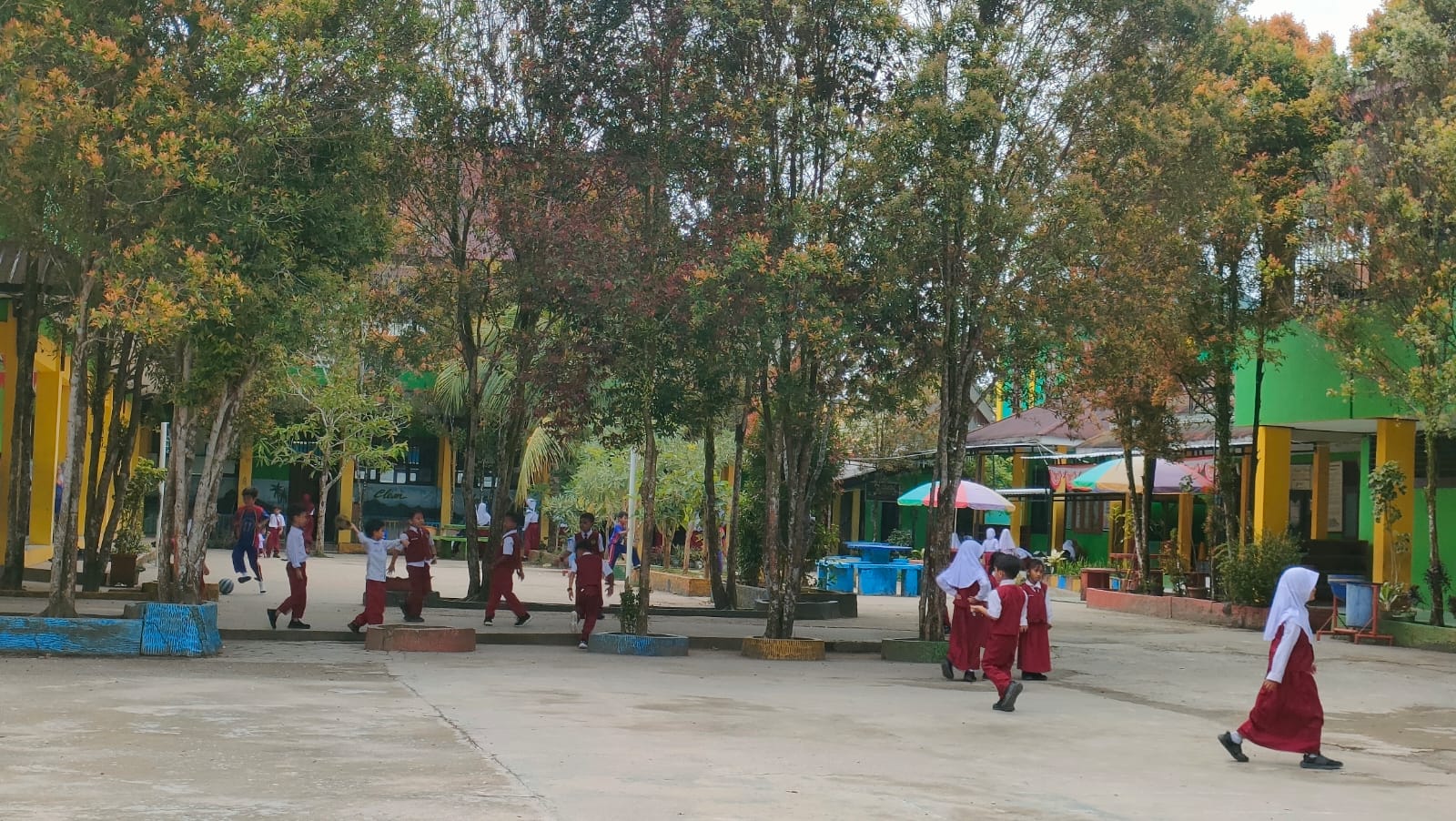 f89e6d48 img 20260226 wa00391