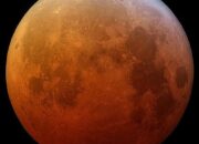 5a535df8 whatsapp image 2026 03 03 at 11.54.18 am