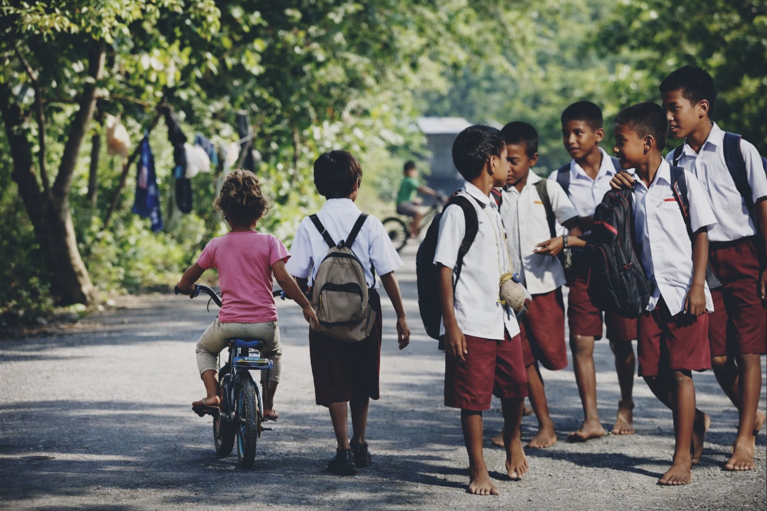 f60434c8 img 20260305 wa0010