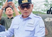 00c3b0ce img 20260402 wa0008