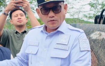 00c3b0ce img 20260402 wa0008