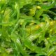 38c88869 manfaat rumput laut untuk kesehatan