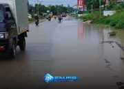 51a2d6e1 9dcd 462c 8e2e 0dde09520eee