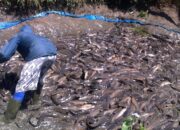 Dorongan DPRD Diperkuat Dinas Pangan: Masyarakat Diminta Mandiri Pangan