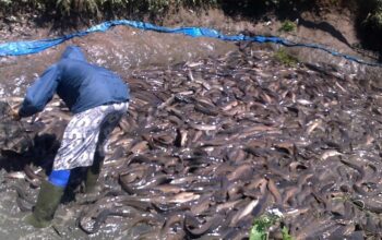 52e80b26 4ebb 45ef affb ebef4e3996bd