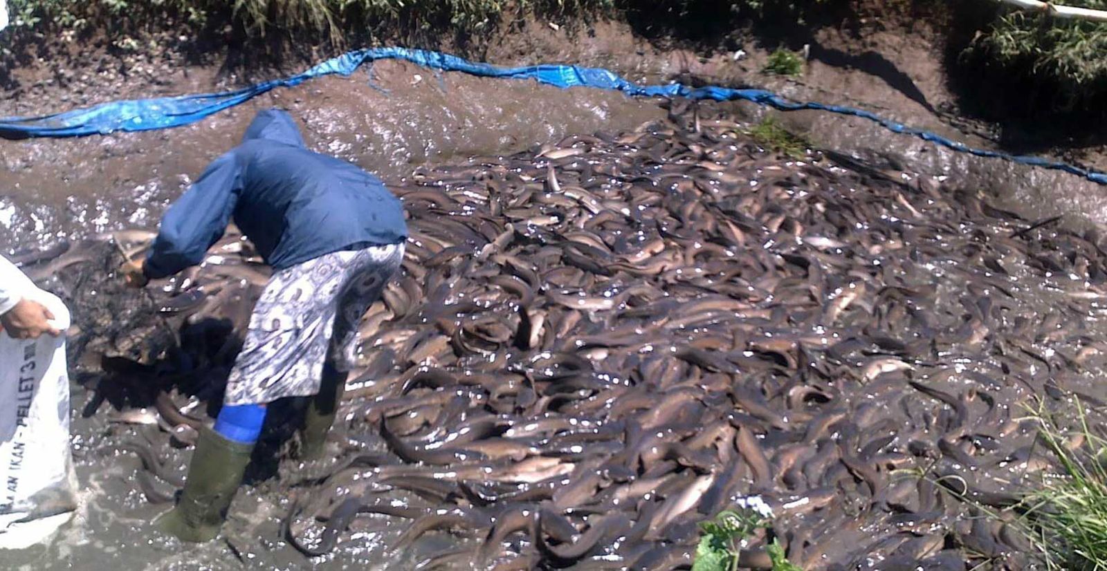 52e80b26 4ebb 45ef affb ebef4e3996bd