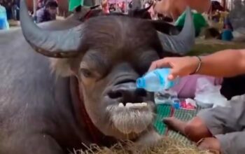 63eb8c64 7f45 41dd b9e0 076532271a04