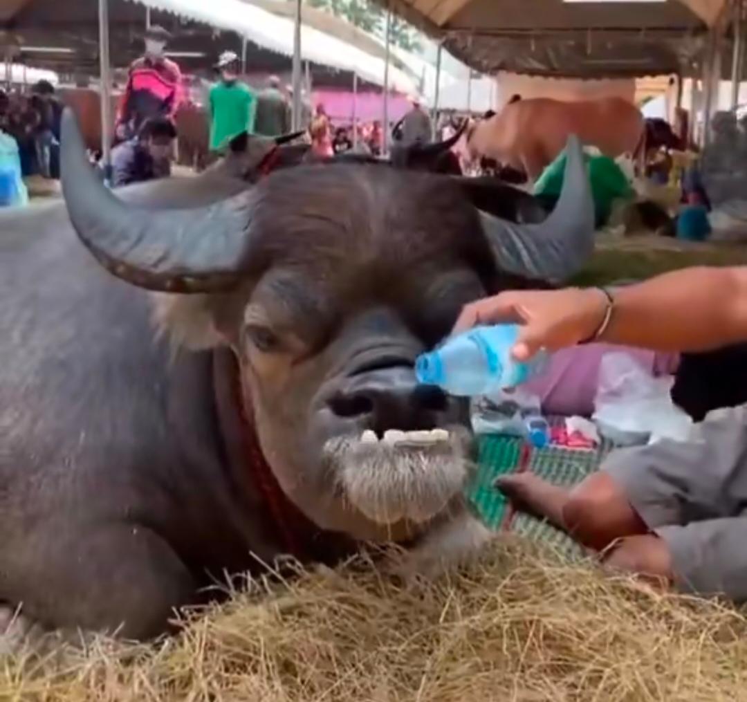 63eb8c64 7f45 41dd b9e0 076532271a04