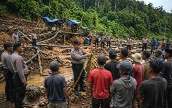 84976bba 1d8a 487a 85c8 a7a10e85d70f