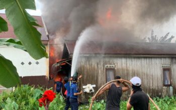 849c3d10 8862 486b 9498 071e9e061090