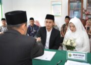 87ebf6a6 1862 4a1c b633 92c87cd195ea