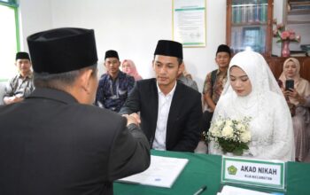 87ebf6a6 1862 4a1c b633 92c87cd195ea