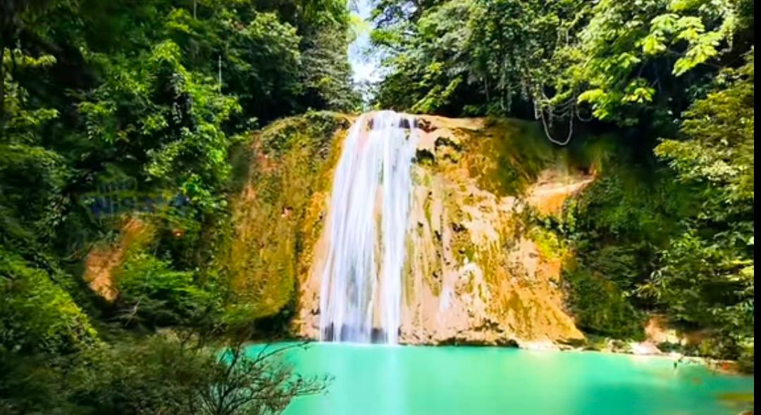 cb45c64e 9ffc 4ec3 96bf 639dc4364083