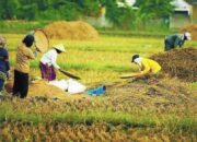 dddfe120 23d8 4ad8 bfdb 1e6e2c501c4e