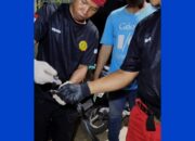 Kobra Masuk Rumah Warga di Sei Bedungun, Tim Damkar Berau Bergerak Cepat Evakuasi Ular 9 2817821e 68bf 4e2b 9734 d1ddac547d76