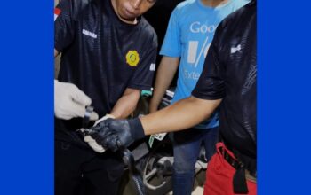 Kobra Masuk Rumah Warga di Sei Bedungun, Tim Damkar Berau Bergerak Cepat Evakuasi Ular 3 2817821e 68bf 4e2b 9734 d1ddac547d76