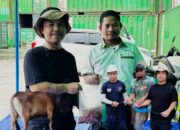 PT PASN dan PT PMB Sembelih 81 Sapi dan 4 Kambing, Komitmen Berkurban di Tengah Lesunya Sektor Logistik Berau
