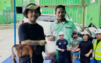PT PASN dan PT PMB Sembelih 81 Sapi dan 4 Kambing, Komitmen Berkurban di Tengah Lesunya Sektor Logistik Berau