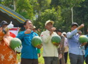 Hadiri Panen Raya di Talisayan, Sekda Berau Sebut BUMK Dumaring Jadi Contoh Pengelolaan Produktif