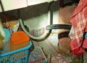 bbcac17b img 20260505 wa0006