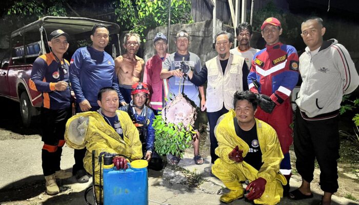 Resahkan Warga, Tawon Vespa di Apt Pranoto Berhasil Dievakuasi Disdamkarmat Berau