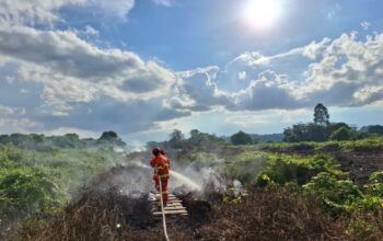 BPBD Berau Kerahkan Tim dan Water Supply Tangani Karhutla di Trans Bangun 3 d8cb1668 img 20260522 wa0017