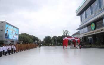 b0408c91 e948 4b40 871b 95949bb1fd44