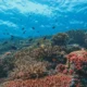 Insiden Kapal Wisata di Channel Tornado Barracuda Jadi Sorotan, Bupati: Jika Ada Kerusakan Harus Ada Konsekuensi Hukum