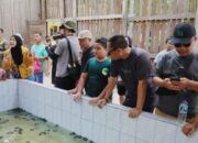 Wabup Sambut Dukungan Pemprov, Wisata Derawan Diarahkan Dongkrak PAD dan Jaga Konservasi 8 b272a42d 52e1 422f 82cb c8c875c9ce6c