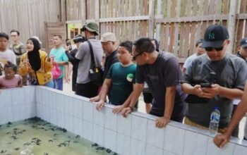Wabup Sambut Dukungan Pemprov, Wisata Derawan Diarahkan Dongkrak PAD dan Jaga Konservasi 2 b272a42d 52e1 422f 82cb c8c875c9ce6c