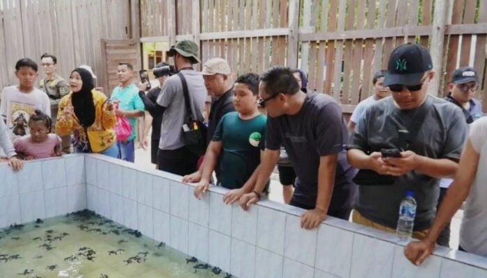 Wabup Sambut Dukungan Pemprov, Wisata Derawan Diarahkan Dongkrak PAD dan Jaga Konservasi