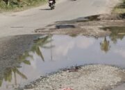 Jalur Strategis Kaltim-Kaltara Rusak, Warga Keluhkan Lambannya Penanganan Pemerintah 8 1acf1d3e img 20260805 wa0073