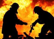 Buka Lahan Sawit dengan Cara Dibakar, 12 Hektare Hutan di Berau Hangus