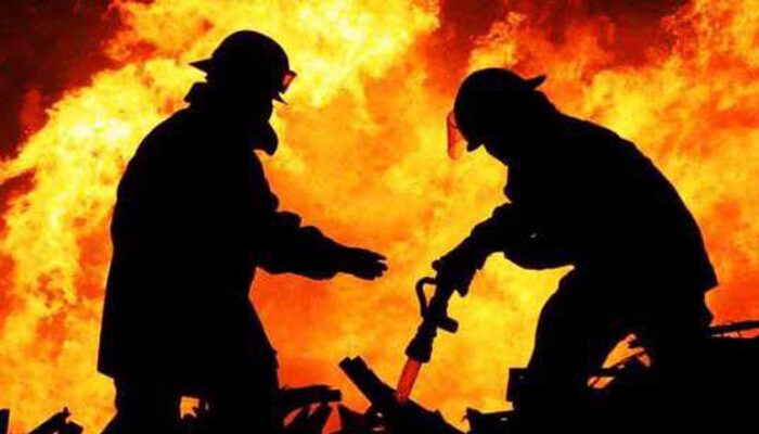 Buka Lahan Sawit dengan Cara Dibakar, 12 Hektare Hutan di Berau Hangus
