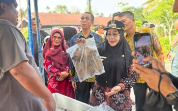 Tekan Beban Belanja Masyarakat, Pemkab Berau Hadirkan 2 Ton Ikan Harga Modal dan Sembako Murah di Gunung Tabur 3 3c30d9da 1786603714 1e93242b6ffd6df7803d