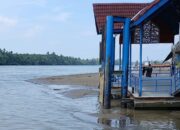 Air Surut, Aktivitas Pelabuhan Kayan II Terganggu Pendangkalan 9 4553f6a6 img 20260814 wa0039