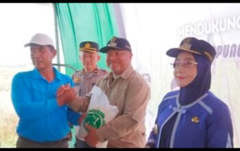 Panen di Tengah Kekeringan, Pemkab Berau Dorong Pertanian yang Lebih Adaptif 3 77819def 4883 4652 86fd 58e33e259180