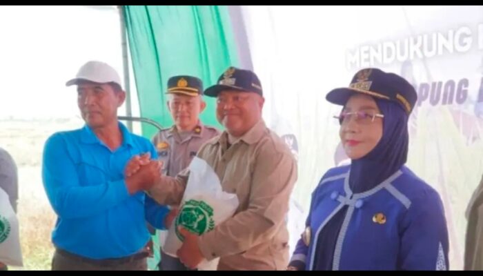 Panen di Tengah Kekeringan, Pemkab Berau Dorong Pertanian yang Lebih Adaptif
