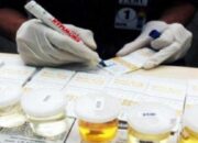 Berau Perketat Benteng Anti-Narkoba, Lurah hingga Staf Kampung Jalani Tes Urine 9 7cc01541 mau tes urin mahasiswa polisi ditantang tes duluan 145219