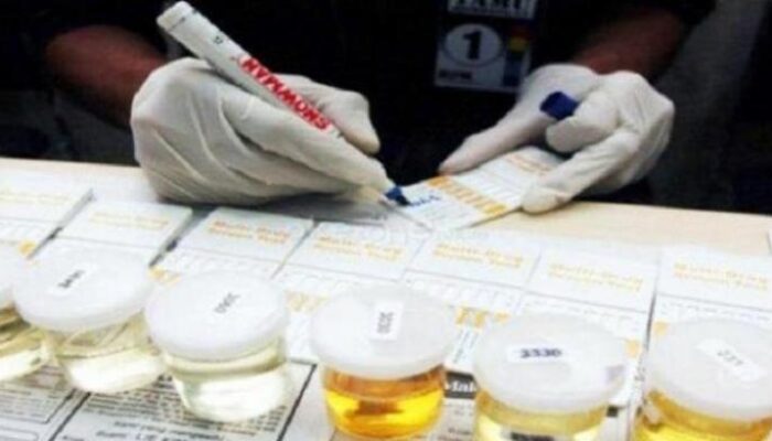 Berau Perketat Benteng Anti-Narkoba, Lurah hingga Staf Kampung Jalani Tes Urine