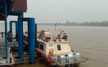 c4824cc3 img 20260905 wa0003