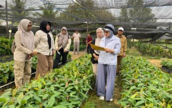 Dapat Dukungan Kementan, Berau Siapkan 200 Hektare Lahan Baru untuk Pengembangan Kakao Unggulan 3 224fe59a 1791010023 db6c2b453ff45e8f640b