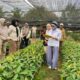 Dapat Dukungan Kementan, Berau Siapkan 200 Hektare Lahan Baru untuk Pengembangan Kakao Unggulan
