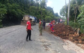Truk Sawit Terbalik di Gunung Tabur, Proses Evakuasi Rampung Sekitar Satu Jam